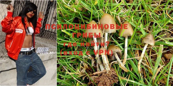 метадон Абинск