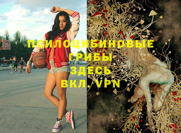 спайс Абдулино