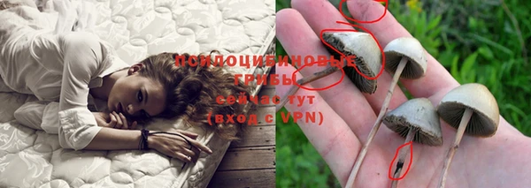 метадон Абинск