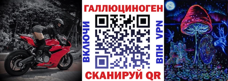 Псилоцибиновые грибы мухоморы  Кедровый 
